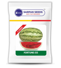Watermelon F1 Fortune-555 100 grams